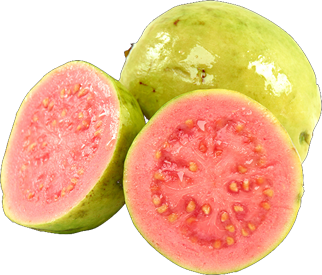 Guava